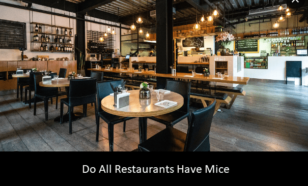 Do All Restaurants Have Mice